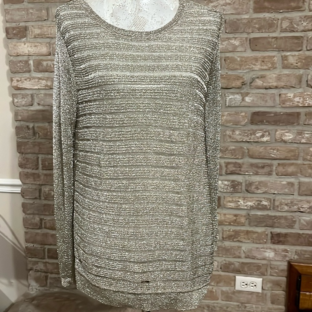 🎉 Chico’s Metallic Silver sparkly top with lining!